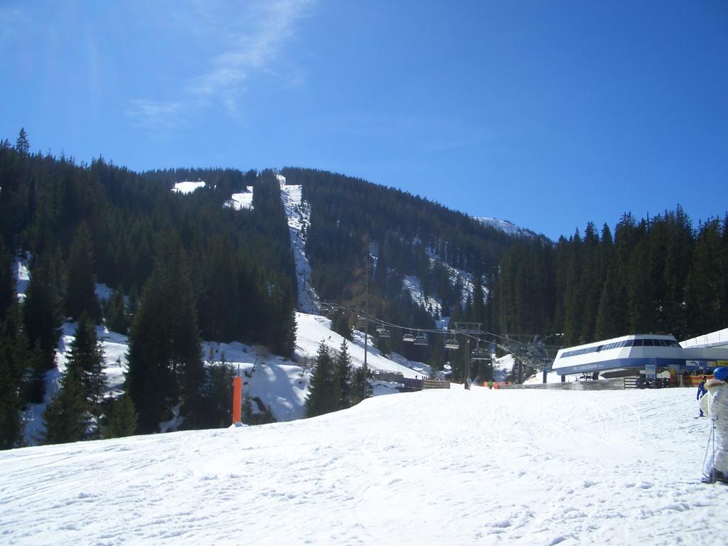 Appartement Haus Schneeberg Mit Hochkoenig Card à Mühlbach am Hochkönig Extérieur photo