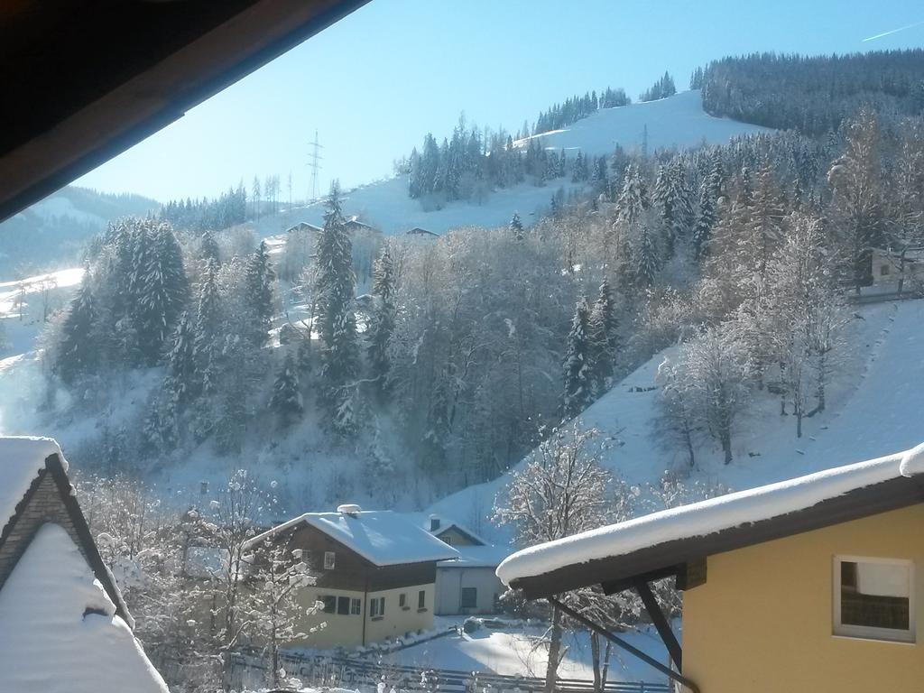 Appartement Haus Schneeberg Mit Hochkoenig Card à Mühlbach am Hochkönig Extérieur photo